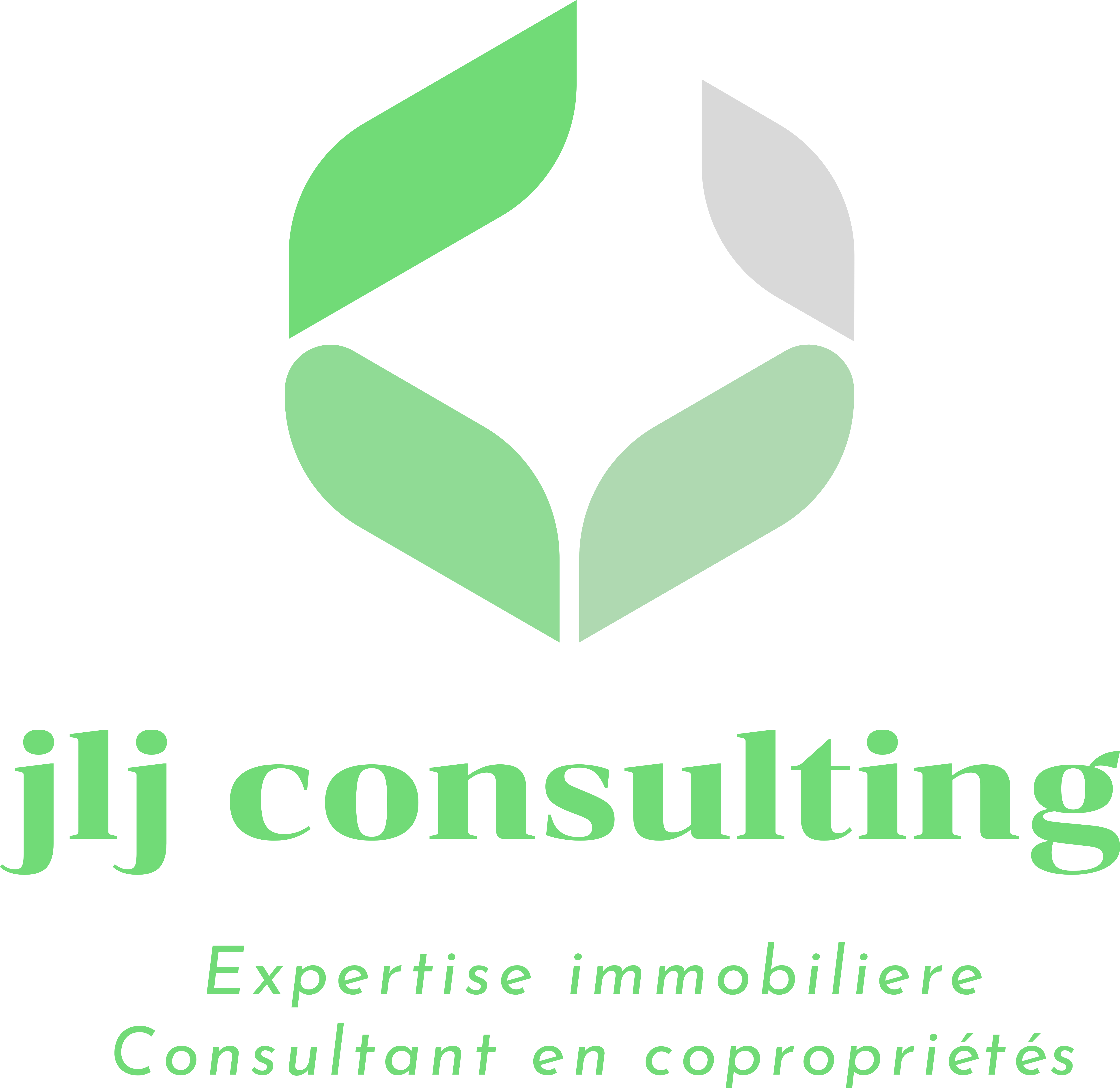 JLJ Consulting